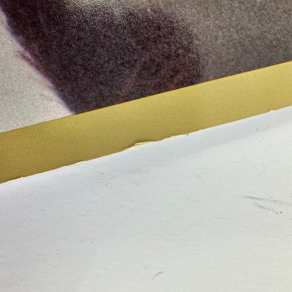 Vintage 1987 Madonna Who’s That Girl World Tour Souvenir Program /cb