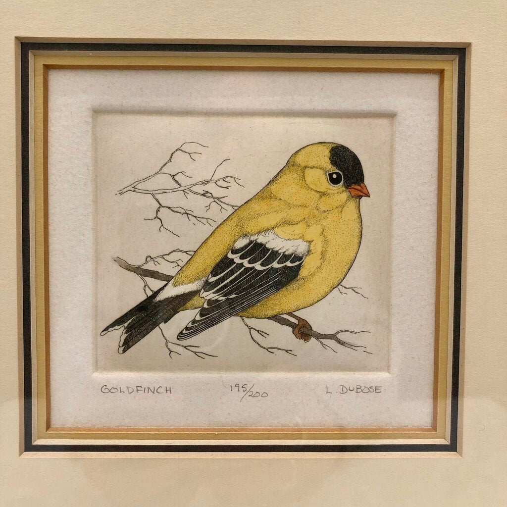 Lucius DuBose Colored Goldfinch Block Etching Framed /b
