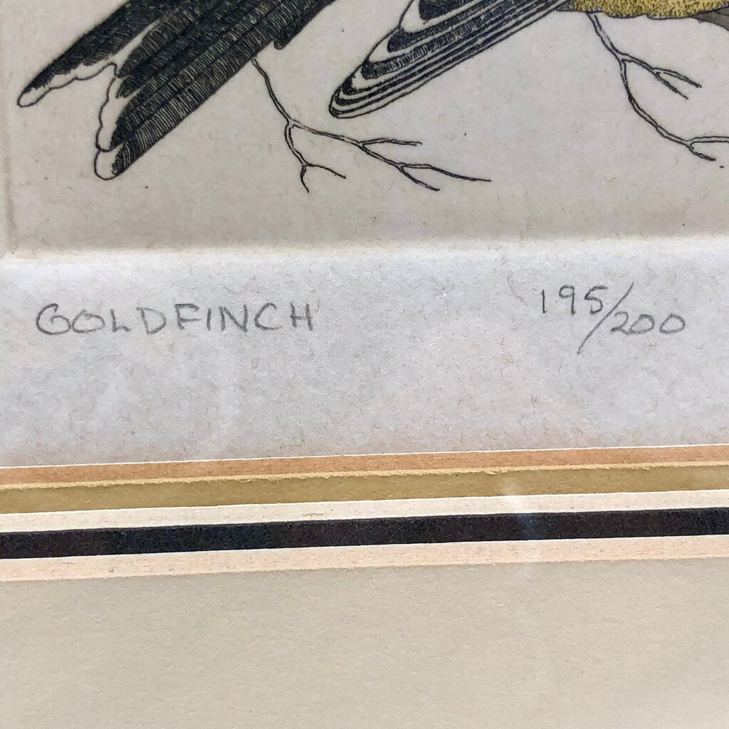 Lucius DuBose Colored Goldfinch Block Etching Framed /b