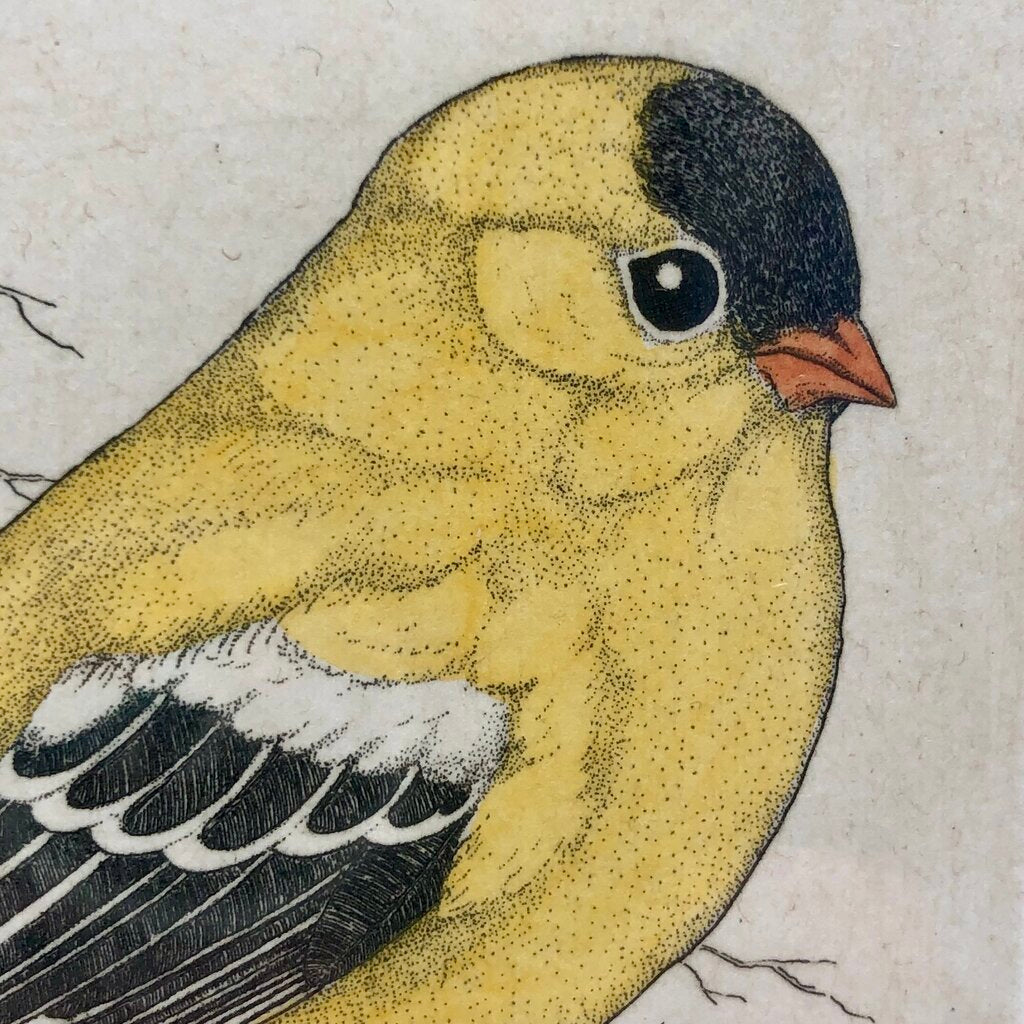 Lucius DuBose Colored Goldfinch Block Etching Framed /b