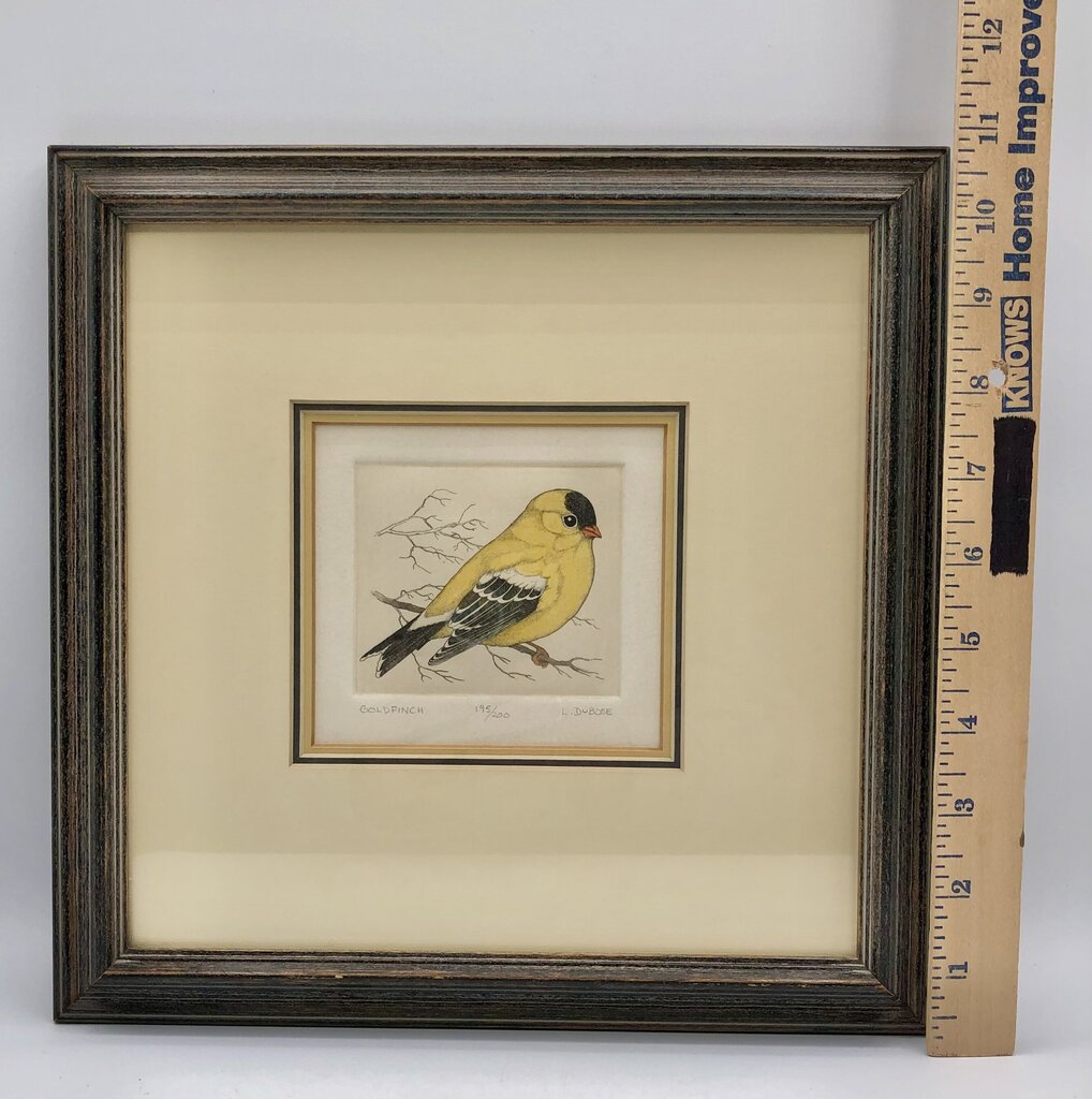 Lucius DuBose Colored Goldfinch Block Etching Framed /b