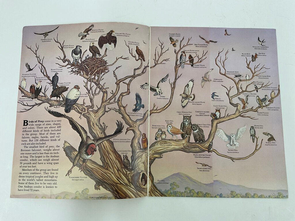 Lot of 11 Assorted Zoobooks Published 1980s /sb