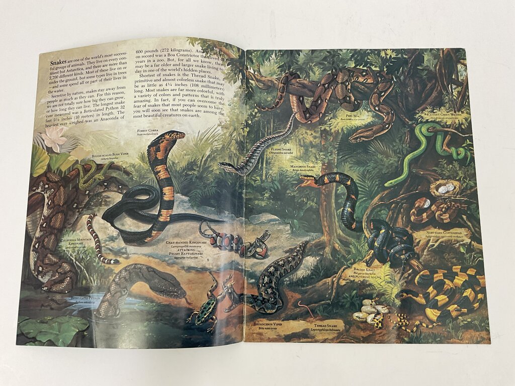 Lot of 11 Assorted Zoobooks Published 1980s /sb