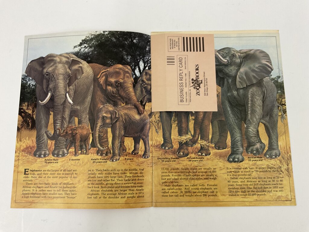 Lot of 11 Assorted Zoobooks Published 1980s /sb