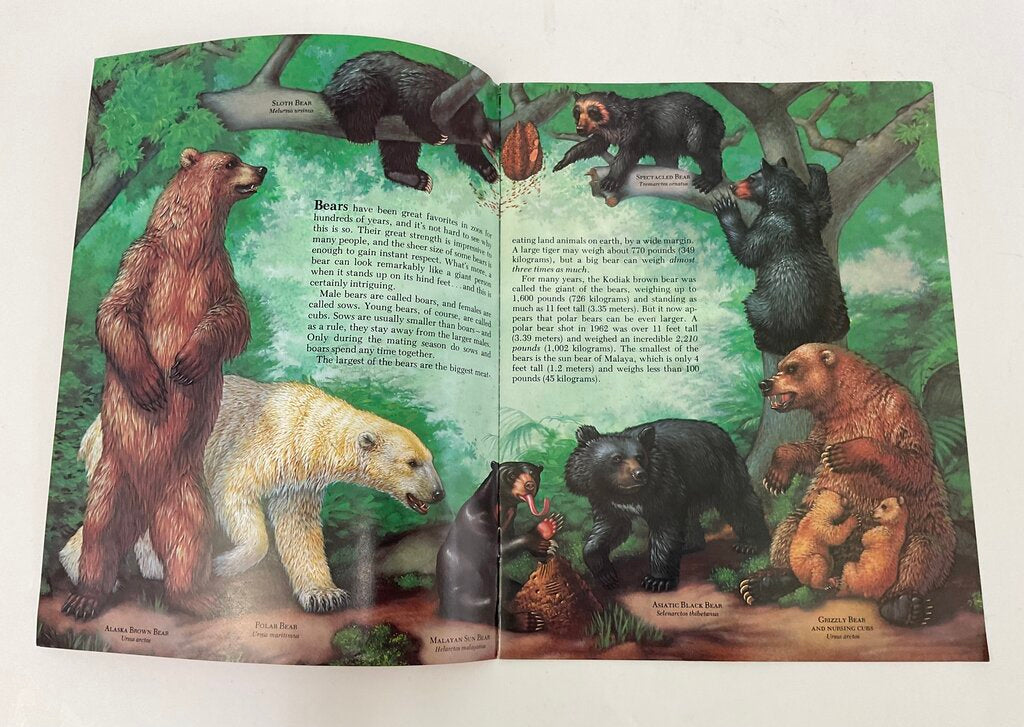 Lot of 11 Assorted Zoobooks Published 1980s /sb
