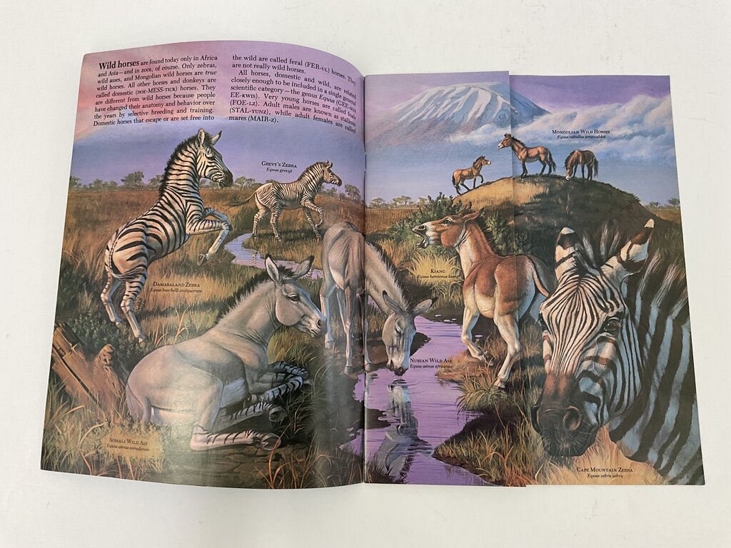 Lot of 11 Assorted Zoobooks Published 1980s /sb