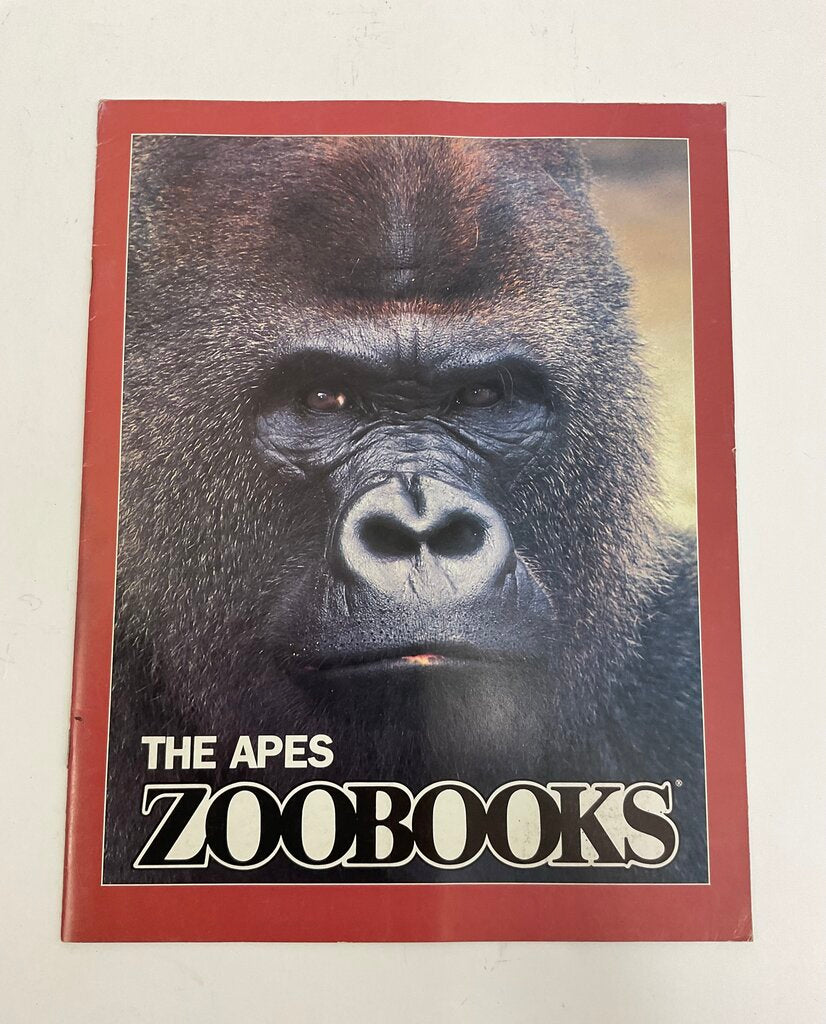 Lot of 11 Assorted Zoobooks Published 1980s /sb