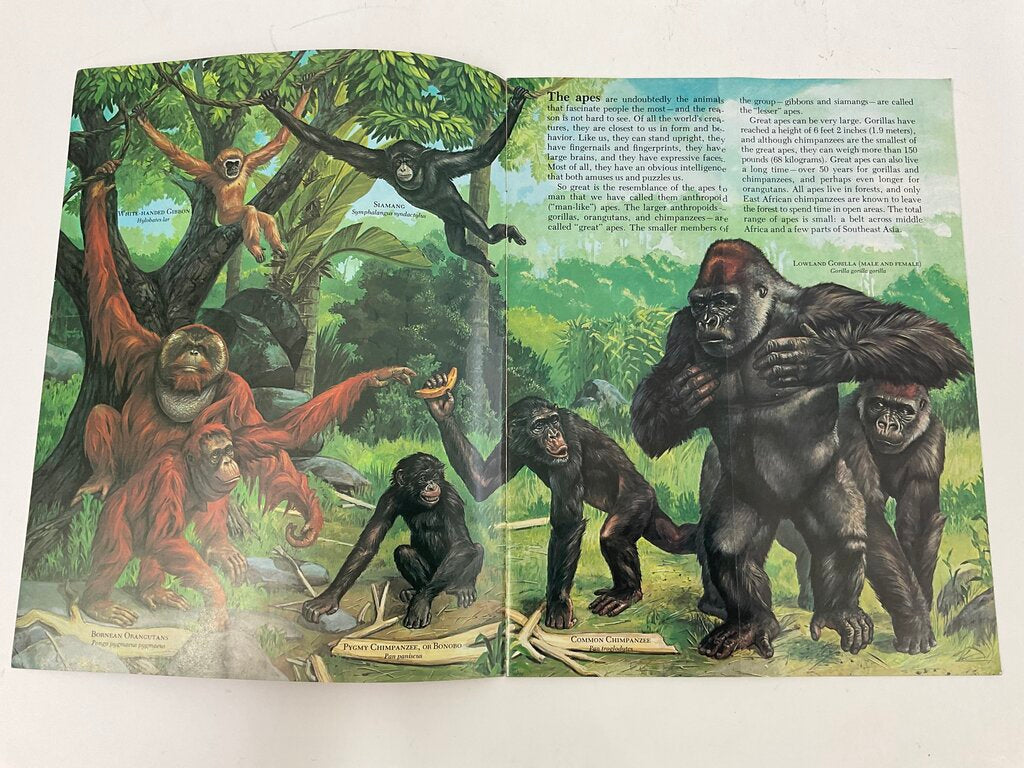 Lot of 11 Assorted Zoobooks Published 1980s /sb