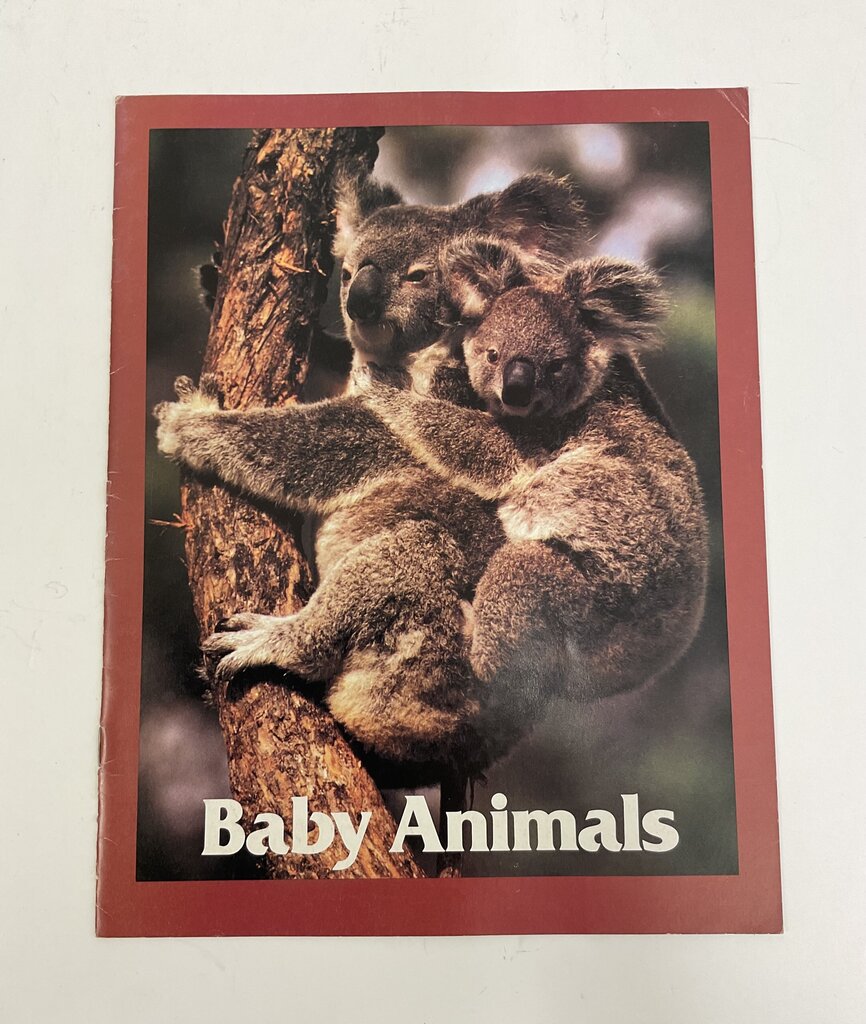 Lot of 11 Assorted Zoobooks Published 1980s /sb