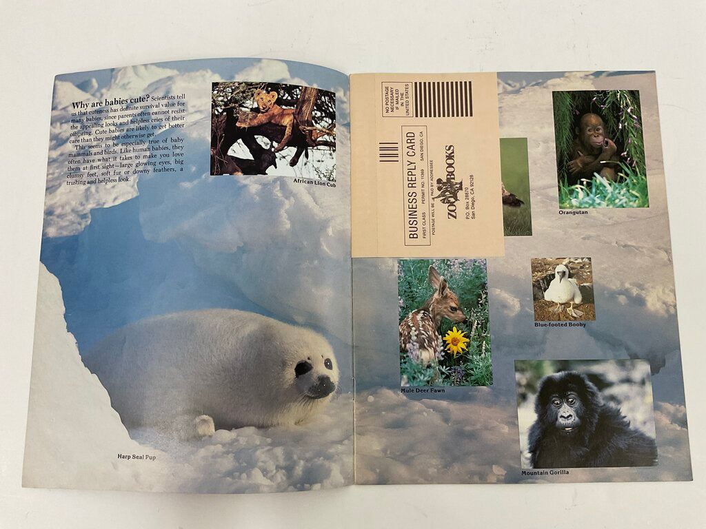 Lot of 11 Assorted Zoobooks Published 1980s /sb