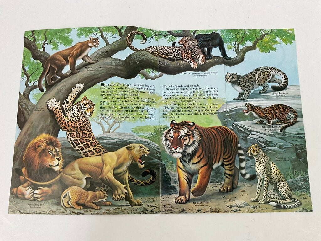 Lot of 11 Assorted Zoobooks Published 1980s /sb