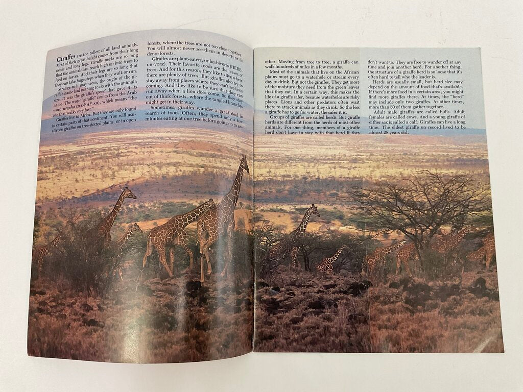 Lot of 11 Assorted Zoobooks Published 1980s /sb