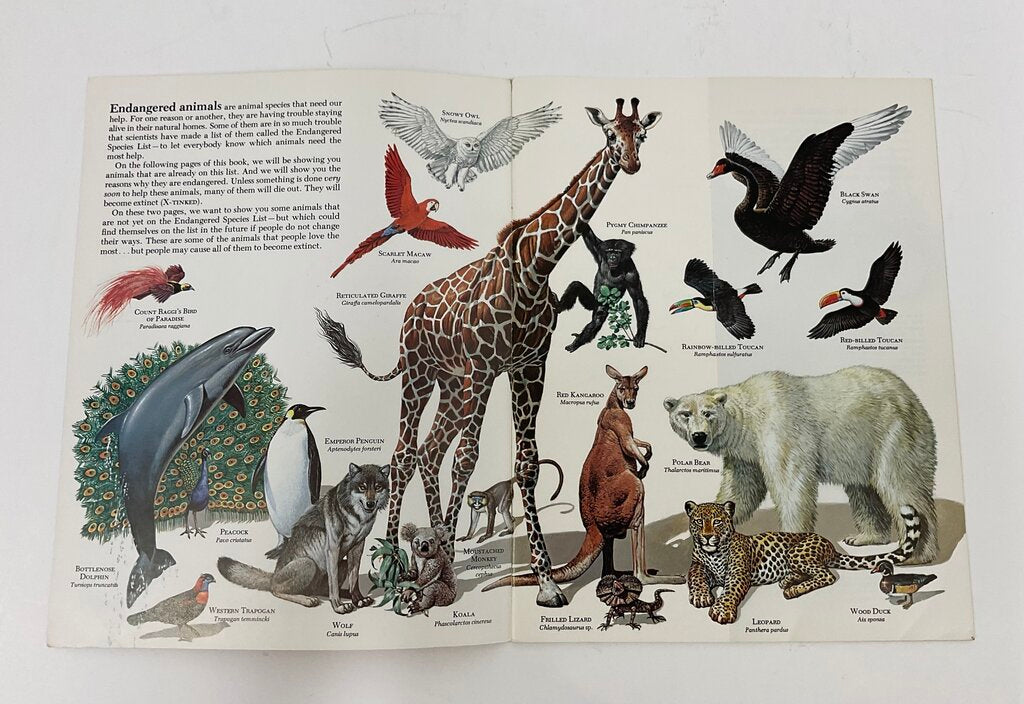 Lot of 11 Assorted Zoobooks Published 1980s /sb