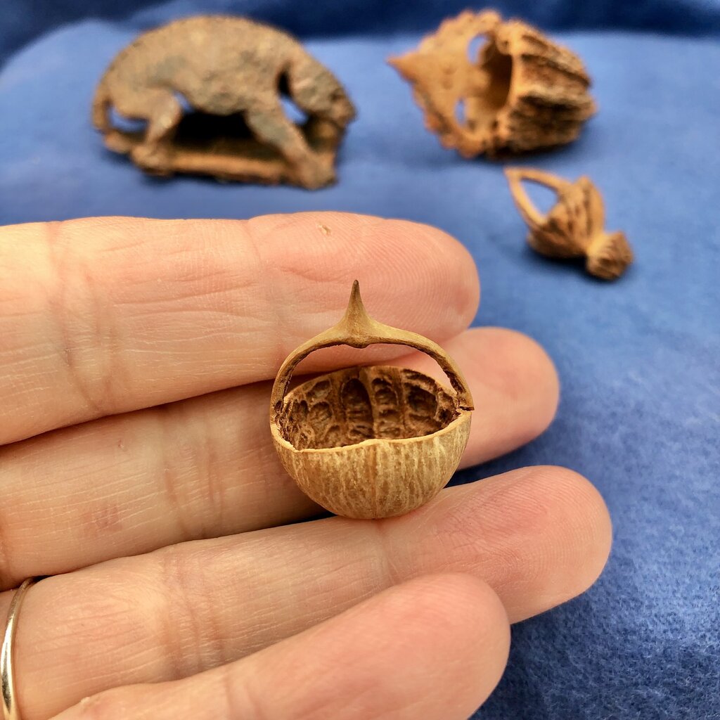 Lot of 4 Antique Carved Walnut/ Brazil/ Acorn Nut Shell Baskets & Figurine /b