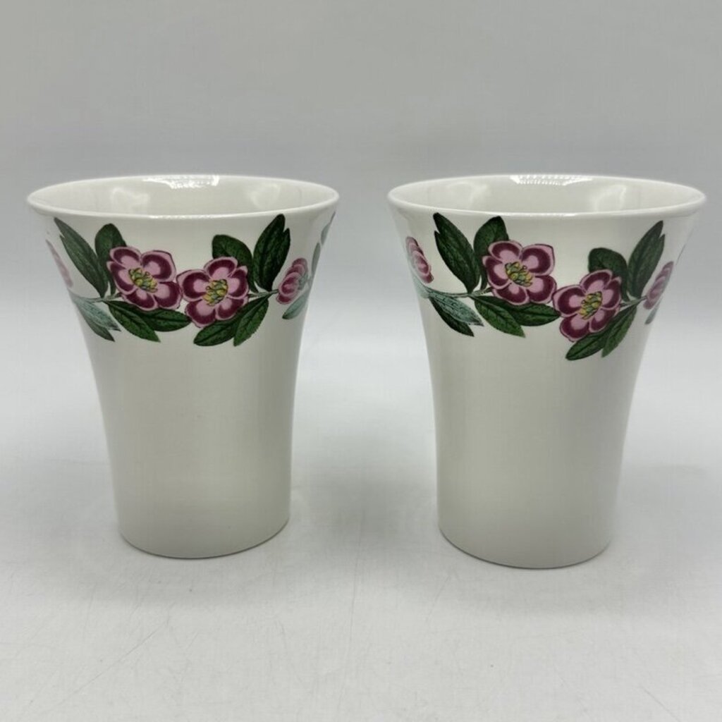 Set of 2 Portmeirion Botanic Garden Rhododendron Porcelain Bathroom Tumblers /cb