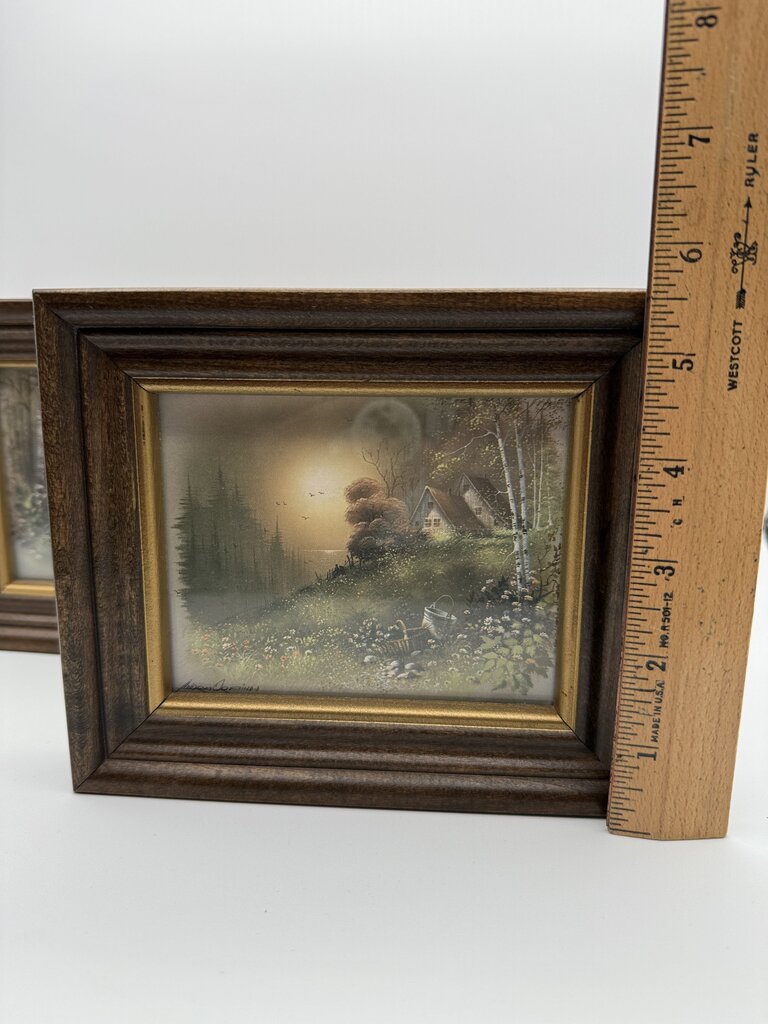 Masterpiece Collection of 2 Framed Andres Orpinas Art Prints /ro