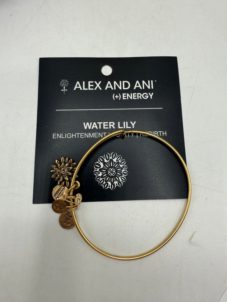Alex and Ani + Energy Bracelet w/Charms set of 5 /ro