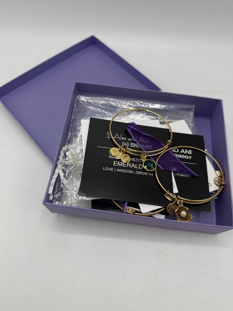 Alex and Ani + Energy Bracelet w/Charms set of 5 /ro
