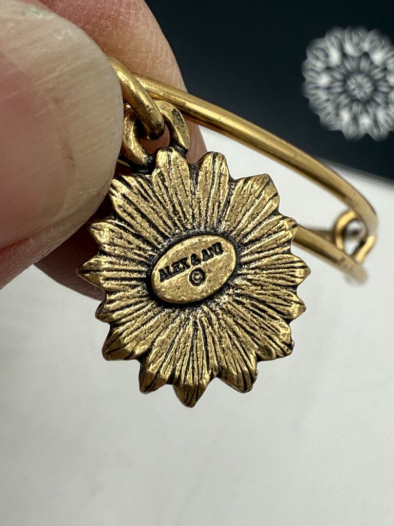 Alex and Ani + Energy Bracelet w/Charms set of 5 /ro