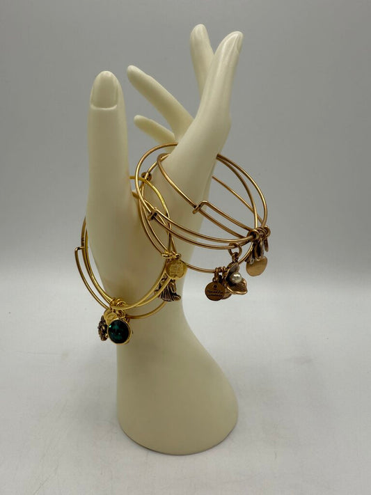 Alex and Ani + Energy Bracelet w/Charms set of 5 /ro