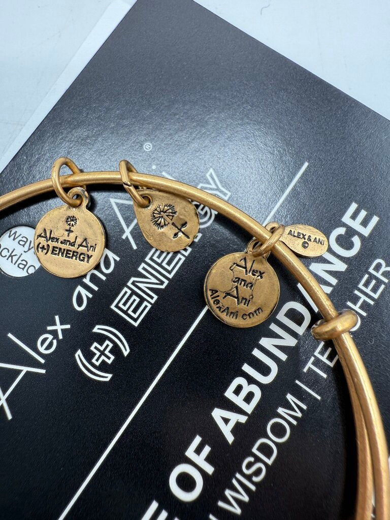Alex and Ani + Energy Bracelet w/Charms set of 5 /ro