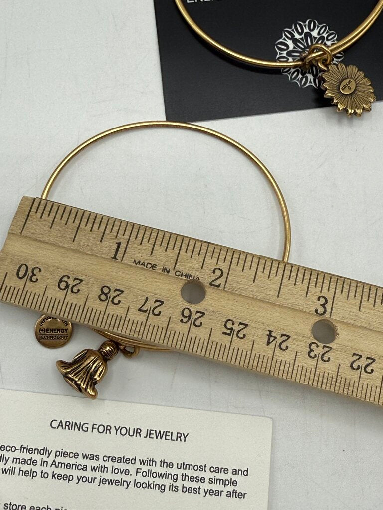 Alex and Ani + Energy Bracelet w/Charms set of 5 /ro