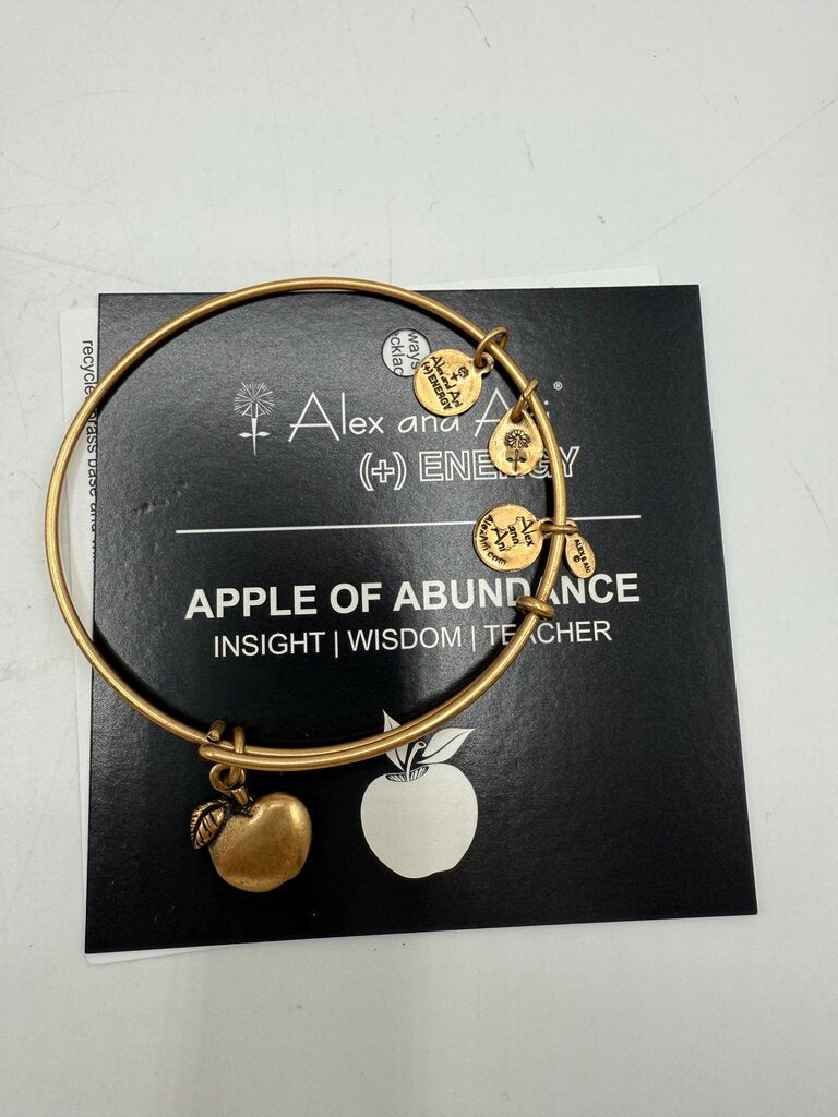 Alex and Ani + Energy Bracelet w/Charms set of 5 /ro