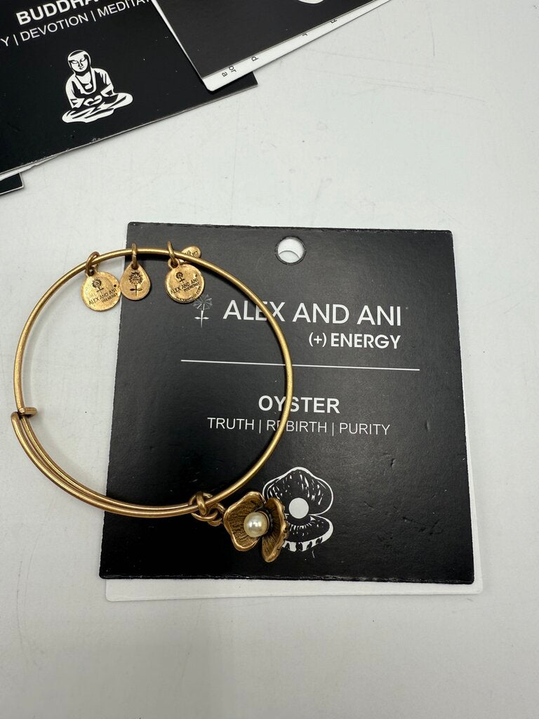 Alex and Ani + Energy Bracelet w/Charms set of 5 /ro