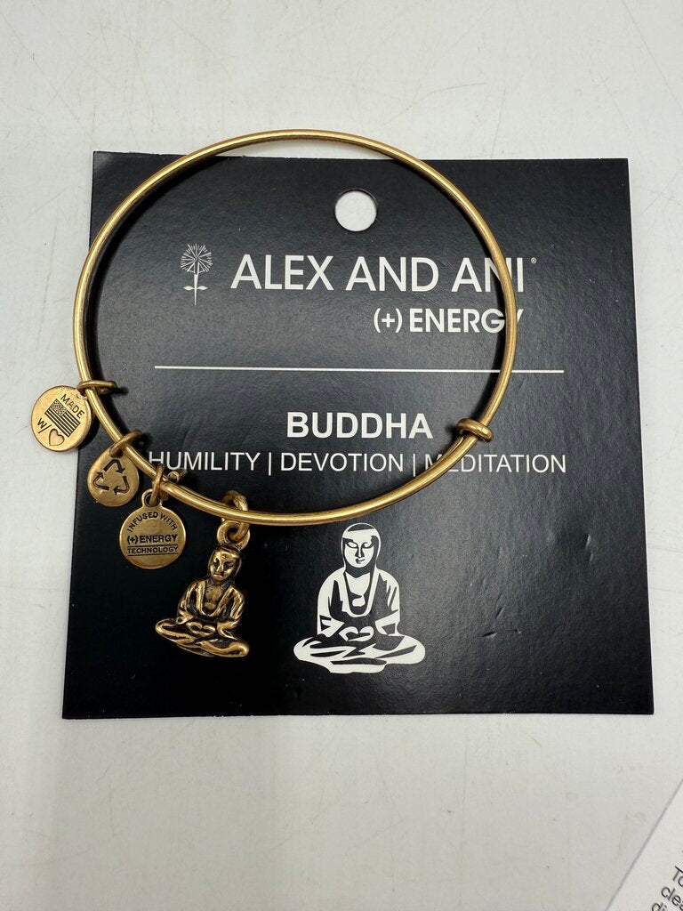Alex and Ani + Energy Bracelet w/Charms set of 5 /ro