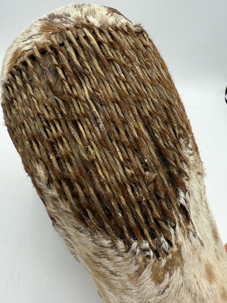 Vintage African Animal Skin Rattle Drum 9” Tall /rw