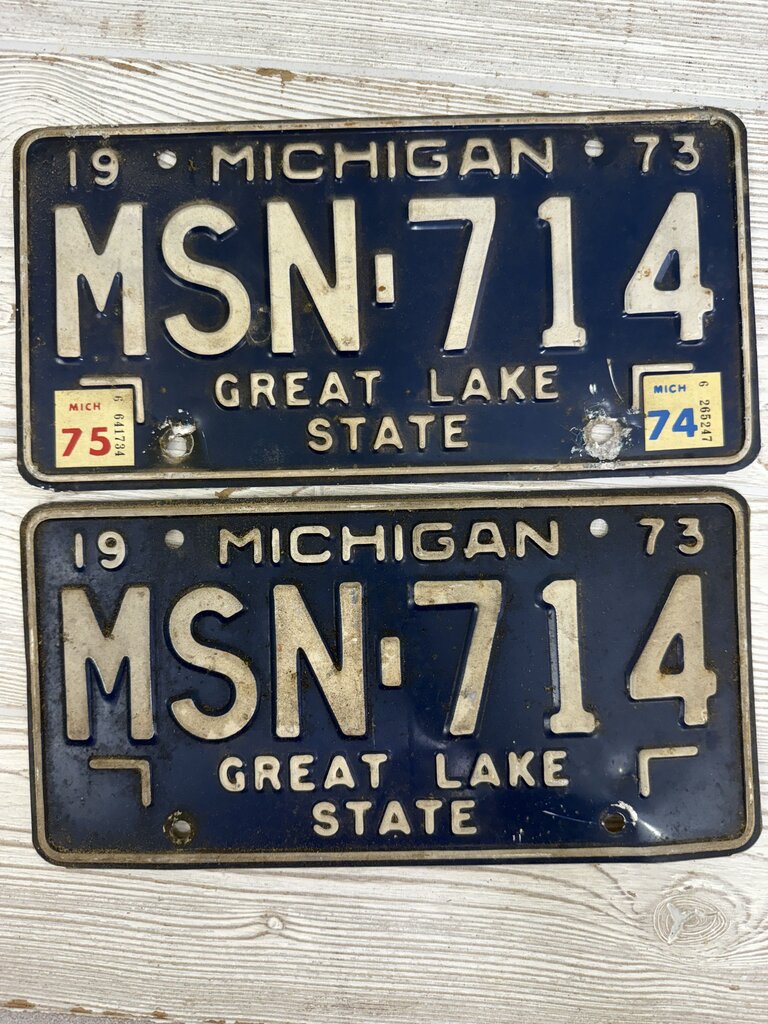 VTG Lot of 10 Michigan License Plate 1965 -1979 /ro