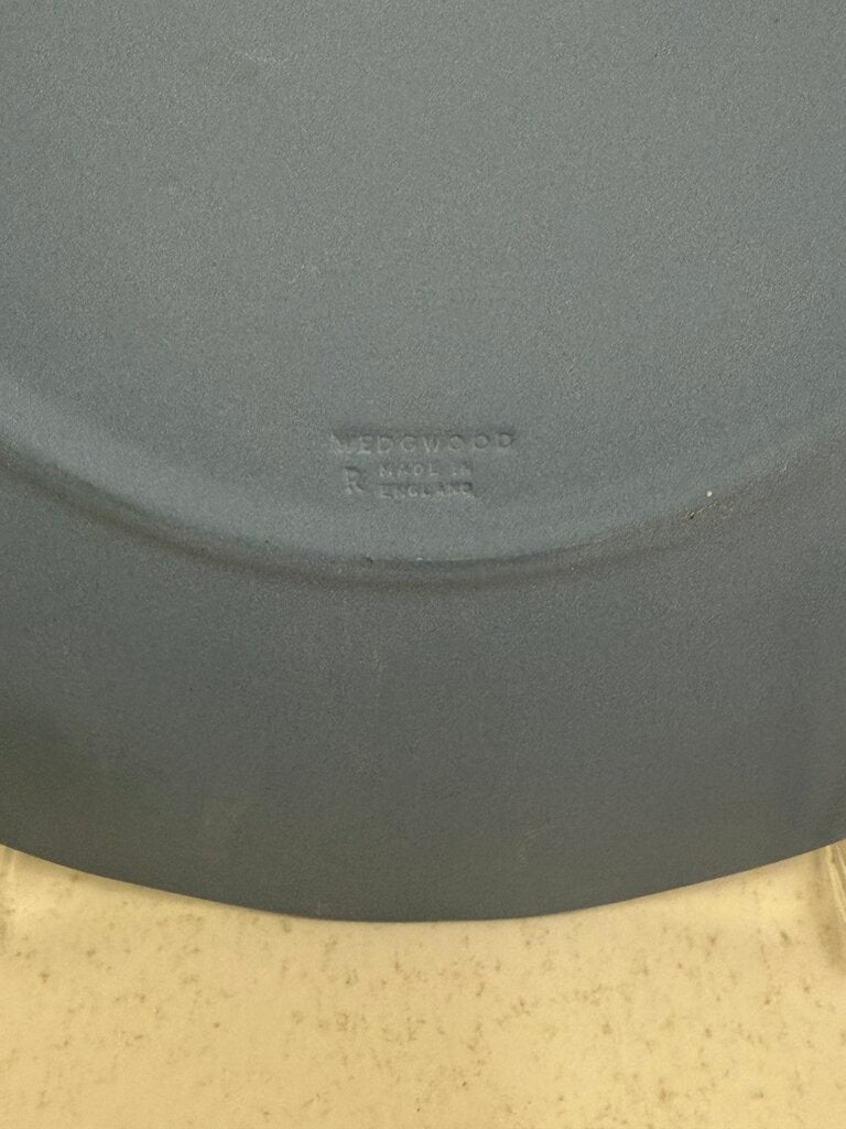 Wedgwood Jasperware Cream Color on Light Blue Poseidon 7” plate 2004 /roh