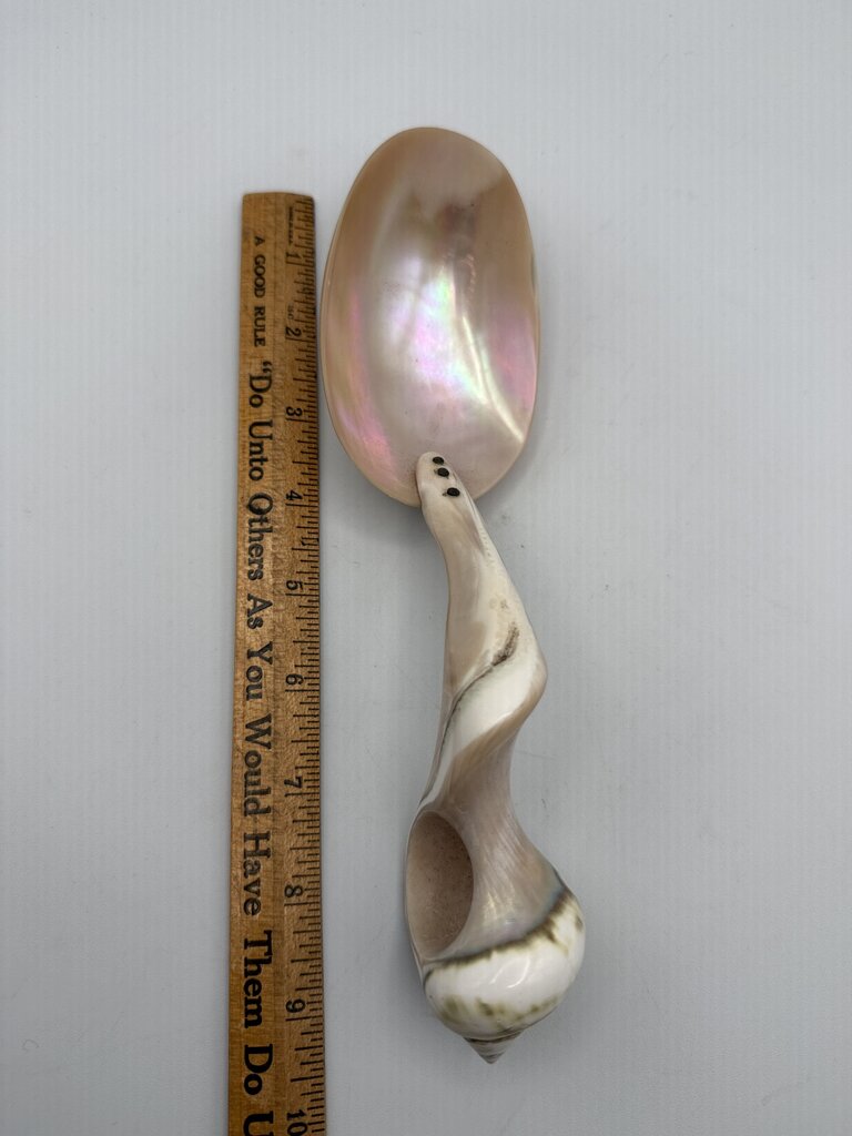 Victorian Welk Sea Shell Caviar Serving Spoon /ro