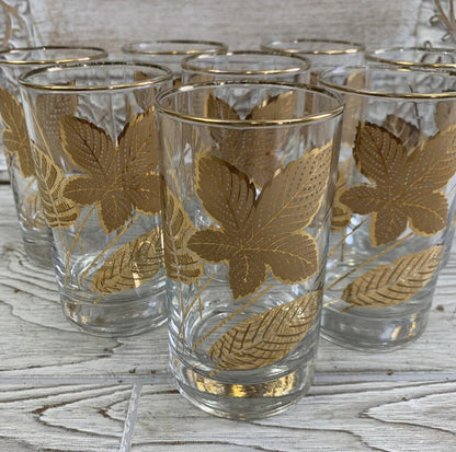 MCM Libbey Gold Leaf Highball Glasses/Tumblers Set of 8 /cb