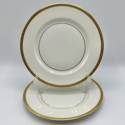 Set Of 2 Vintage Theodore Haviland New York Madison 8 5/8 inch Luncheon Plates /cb