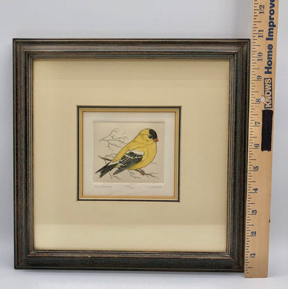 Lucius DuBose Colored Goldfinch Block Etching Framed /b