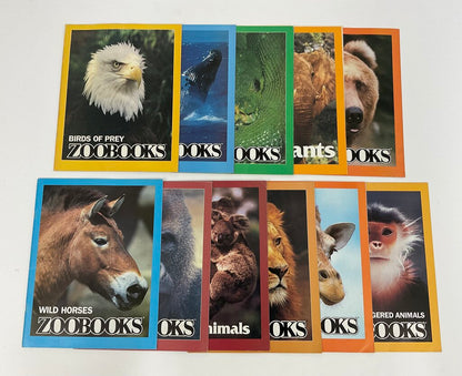 Lot of 11 Assorted Zoobooks Published 1980s /sb