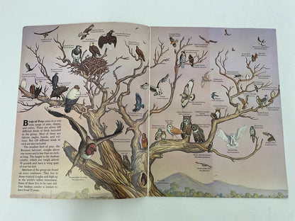 Lot of 11 Assorted Zoobooks Published 1980s /sb