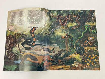 Lot of 11 Assorted Zoobooks Published 1980s /sb