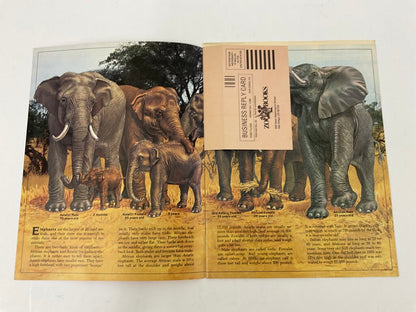 Lot of 11 Assorted Zoobooks Published 1980s /sb