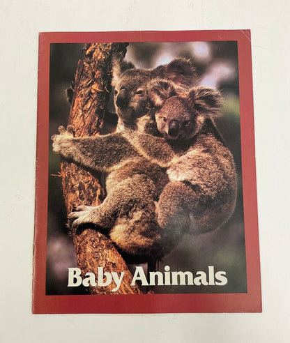 Lot of 11 Assorted Zoobooks Published 1980s /sb