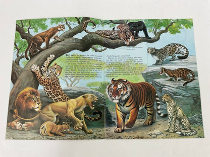 Lot of 11 Assorted Zoobooks Published 1980s /sb