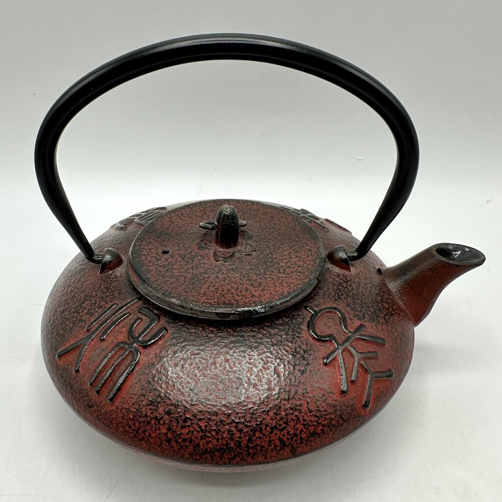 Japanese Cast Iron Tetsubin Teapot Enamel Lined w/Stainless Steel Infuser Red/Black /cb