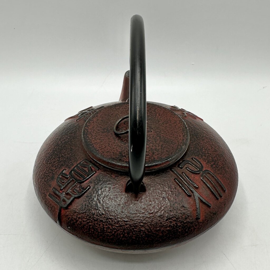 Japanese Cast Iron Tetsubin Teapot Enamel Lined w/Stainless Steel Infuser Red/Black /cb