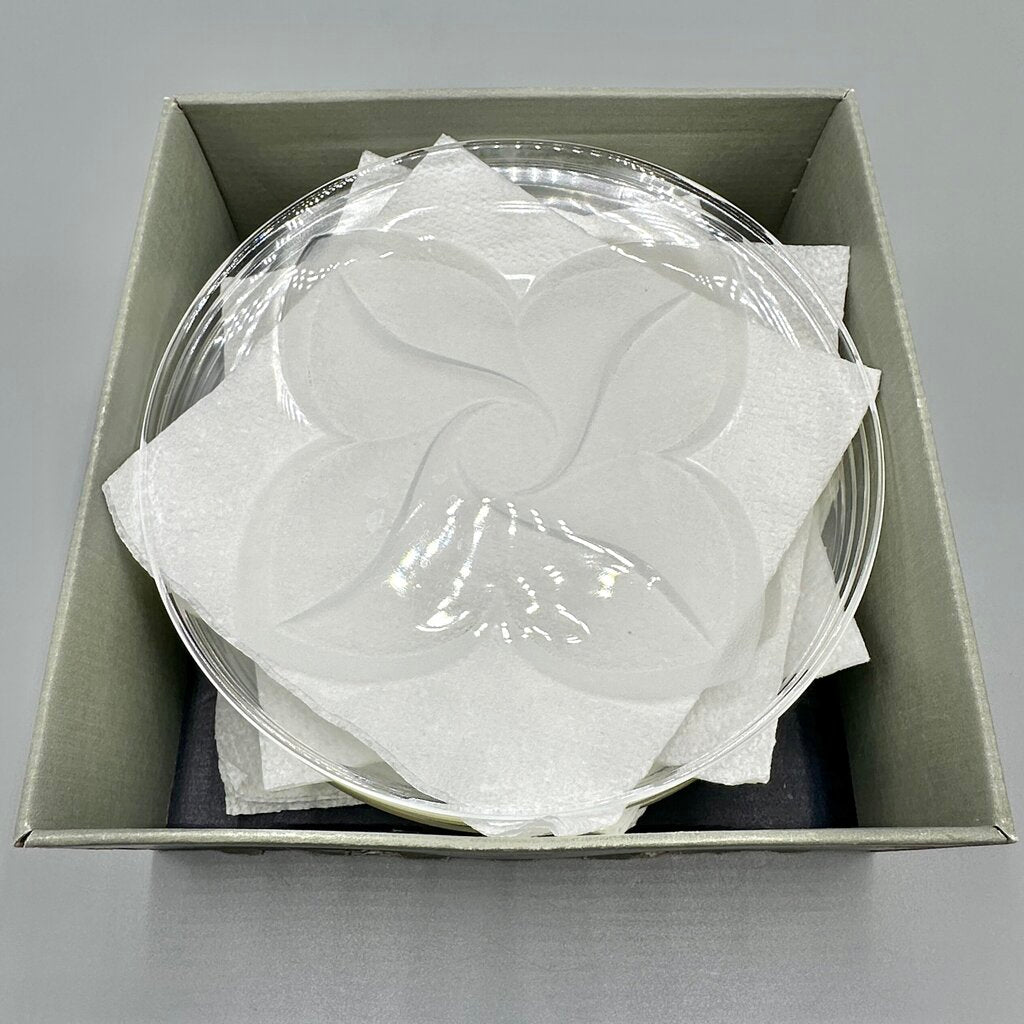 Set Of 6 Cristal J.G. Durand Florence Satine Crystal 7 1/2” Salad/Dessert Plates In Box /cb