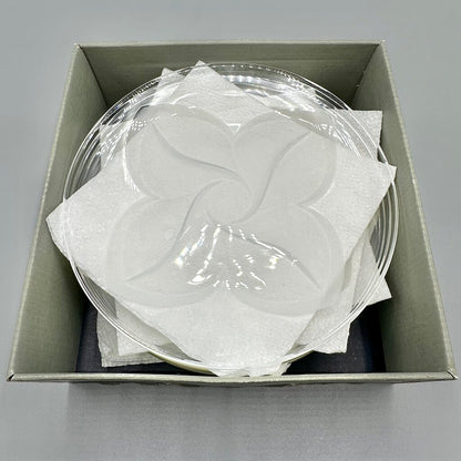 Set Of 6 Cristal J.G. Durand Florence Satine Crystal 7 1/2” Salad/Dessert Plates In Box /cb