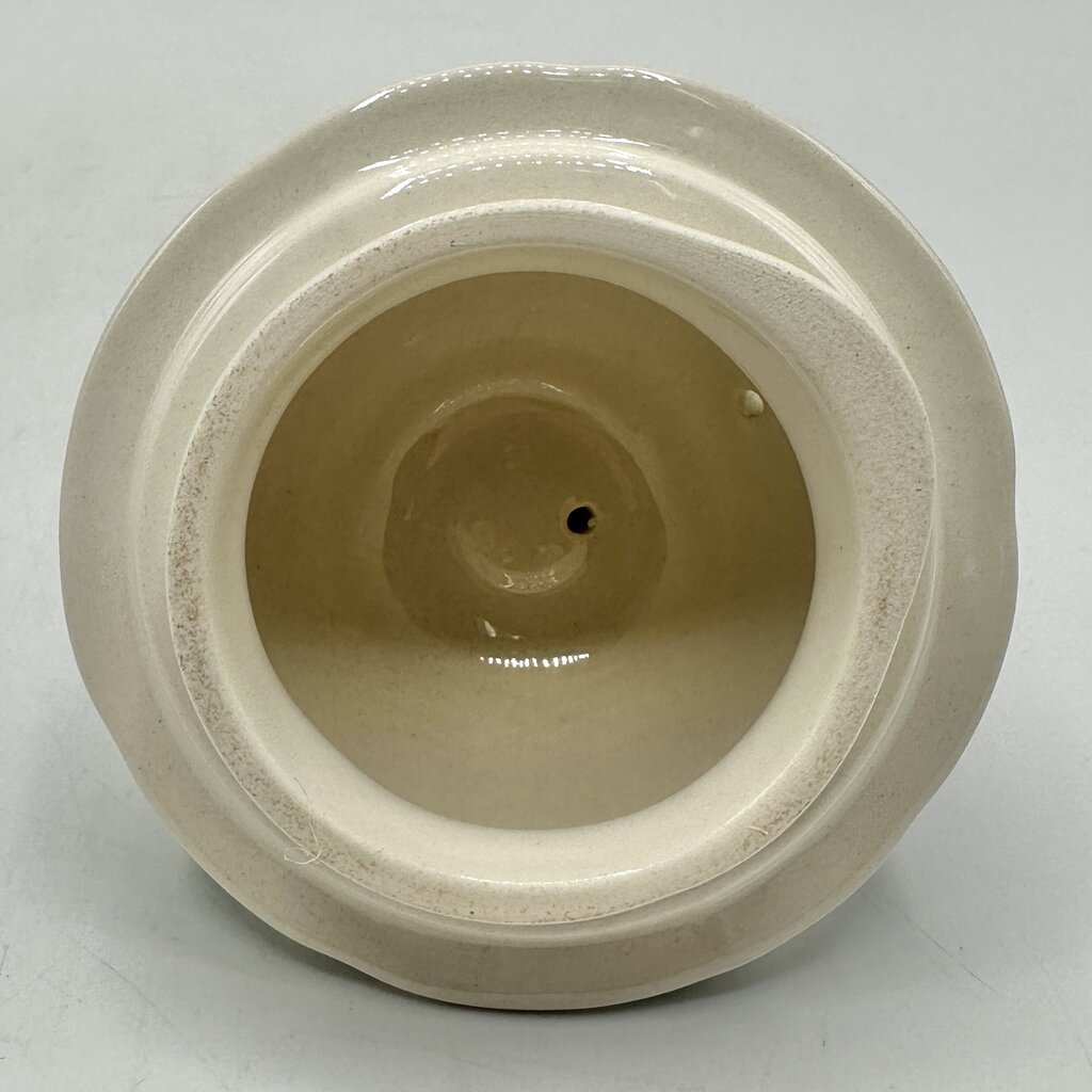 Villeroy & Boch Wilde Rose 5 Cup Teapot Made In Germany /cb