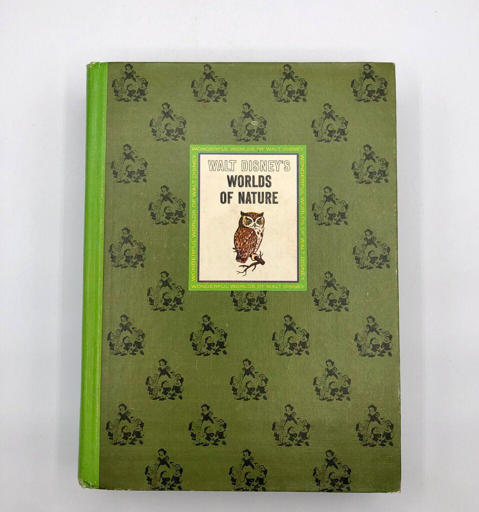 1965 Walt Disney 4 Volume Book Set /b