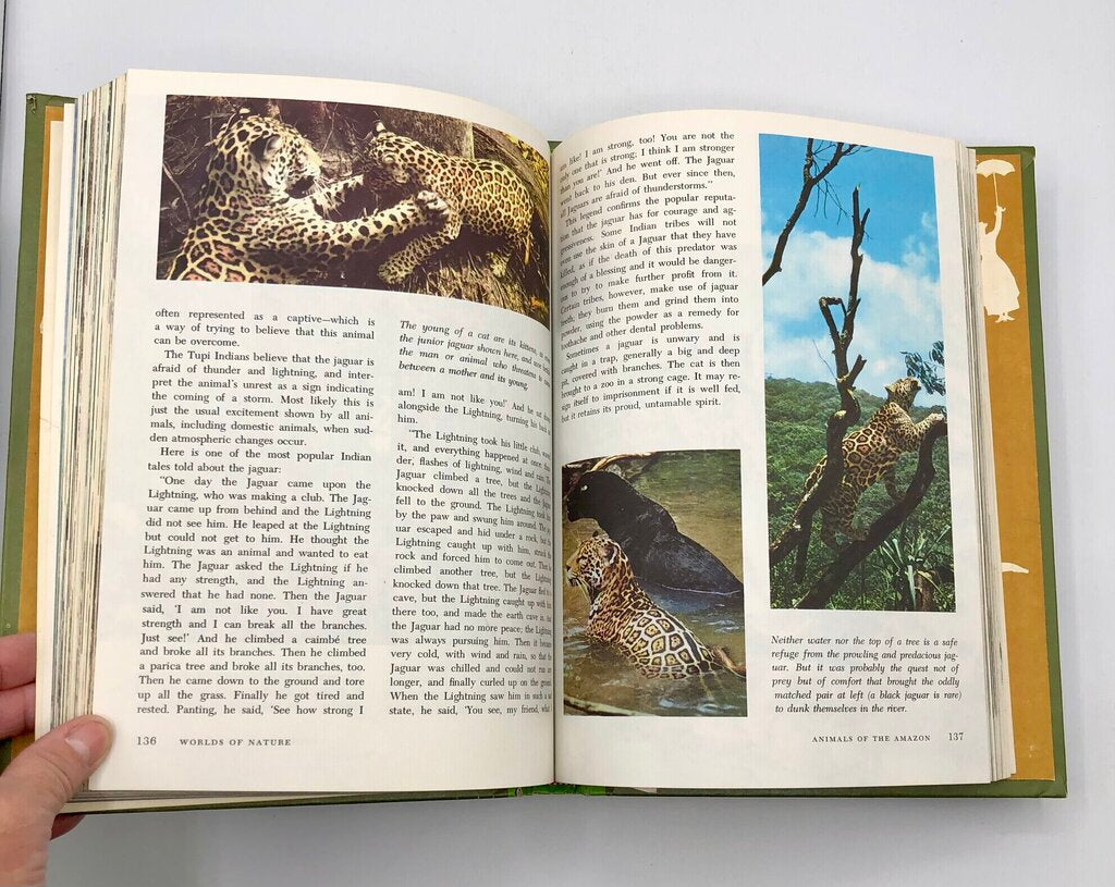 1965 Walt Disney 4 Volume Book Set /b