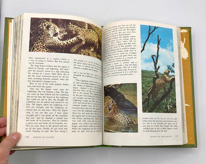 1965 Walt Disney 4 Volume Book Set /b